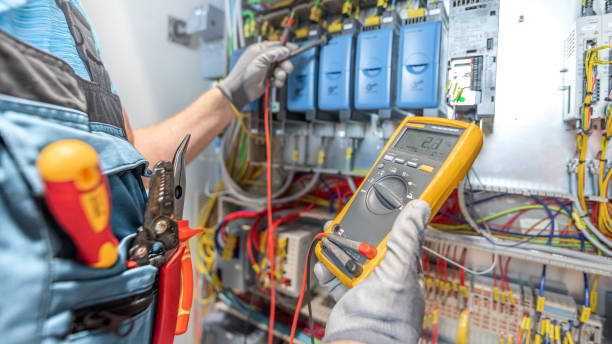 Best Ceiling Fan Installation Electrician  in Sheldon, IA